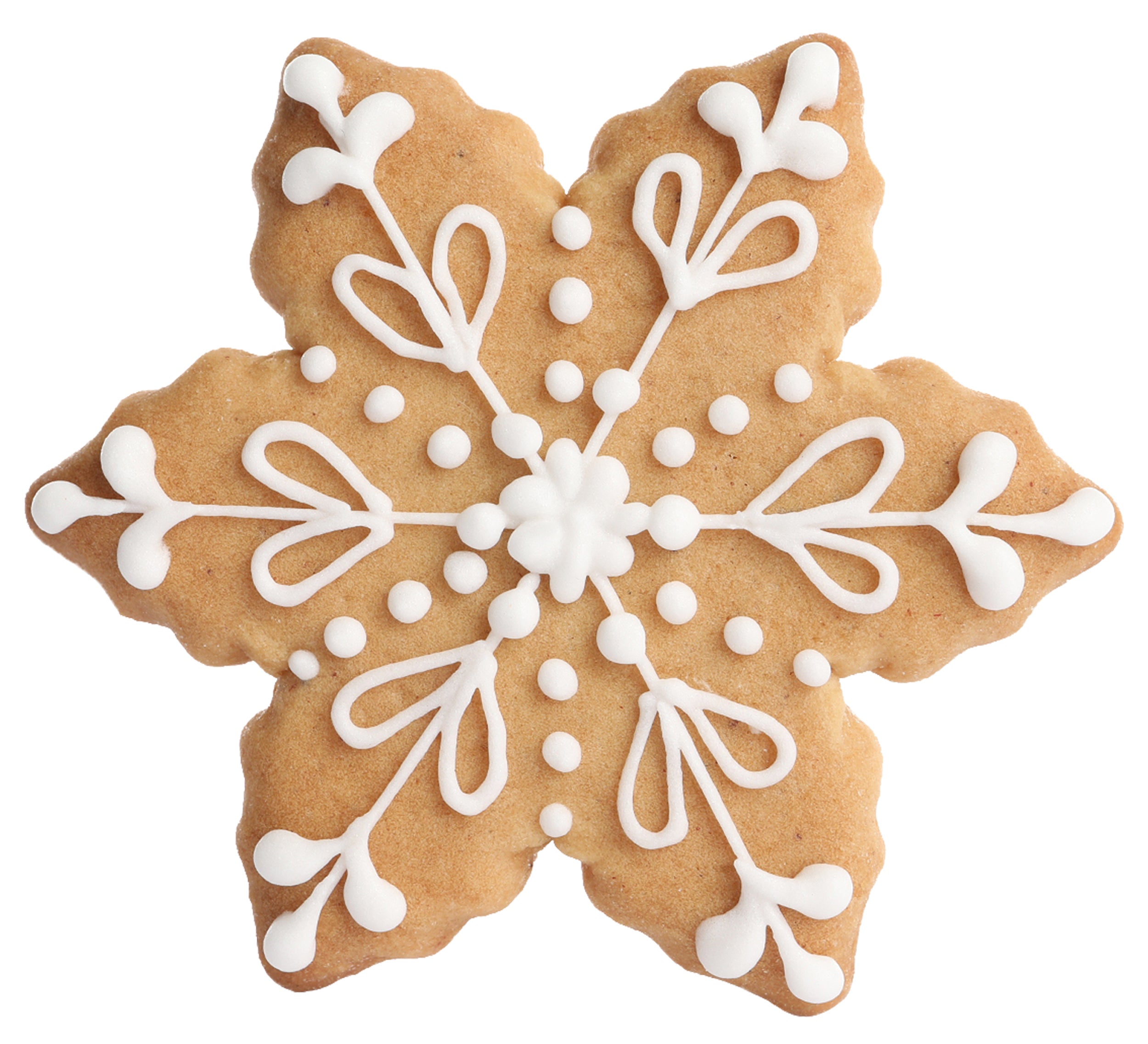 snowflake cookie