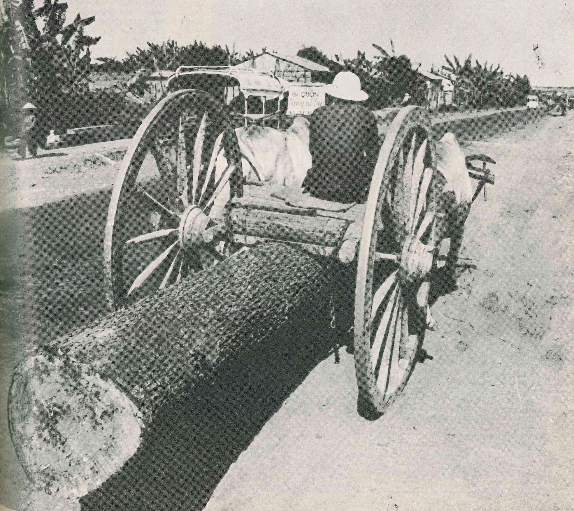 August 1967 Penn Lines cover