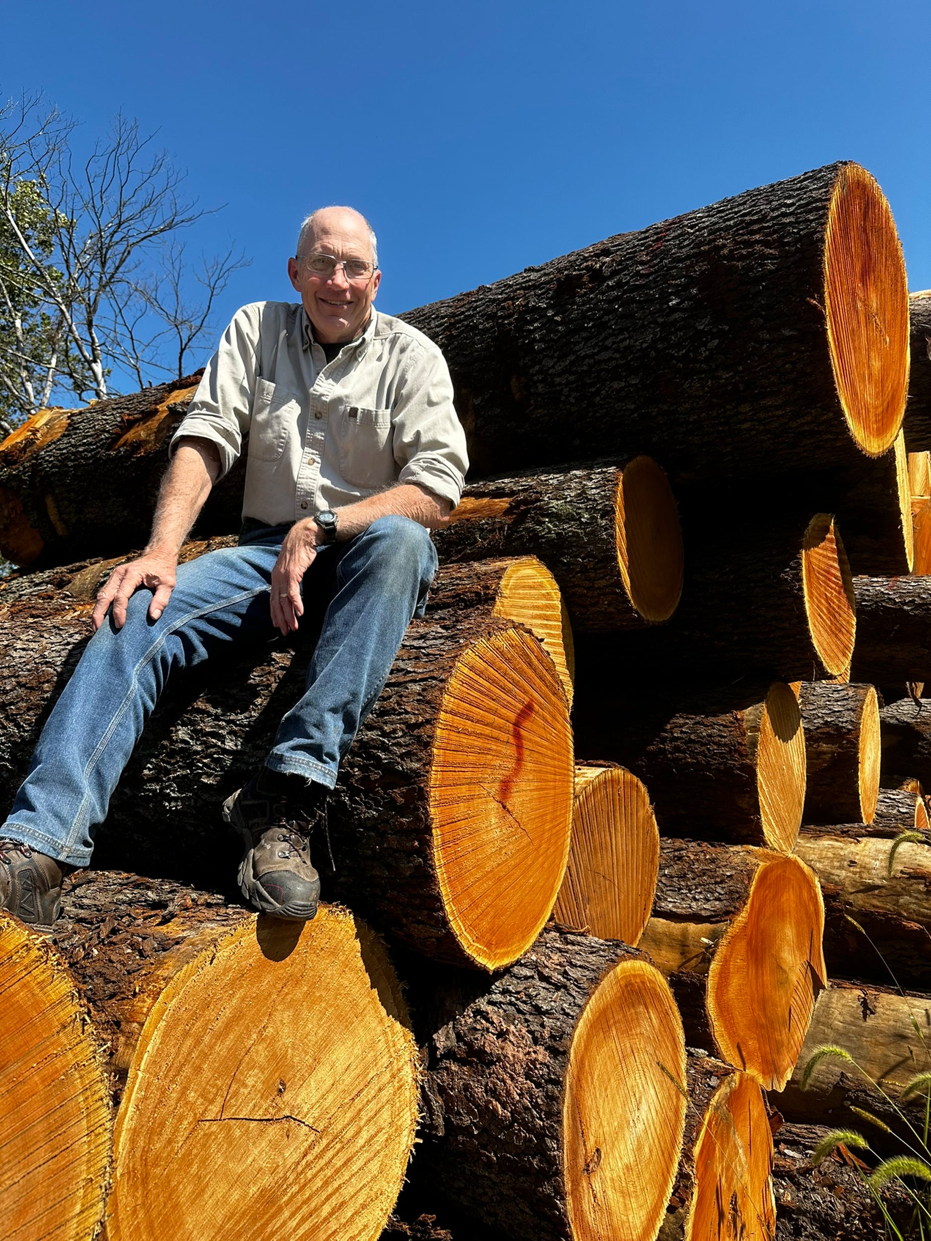 man seated on logs