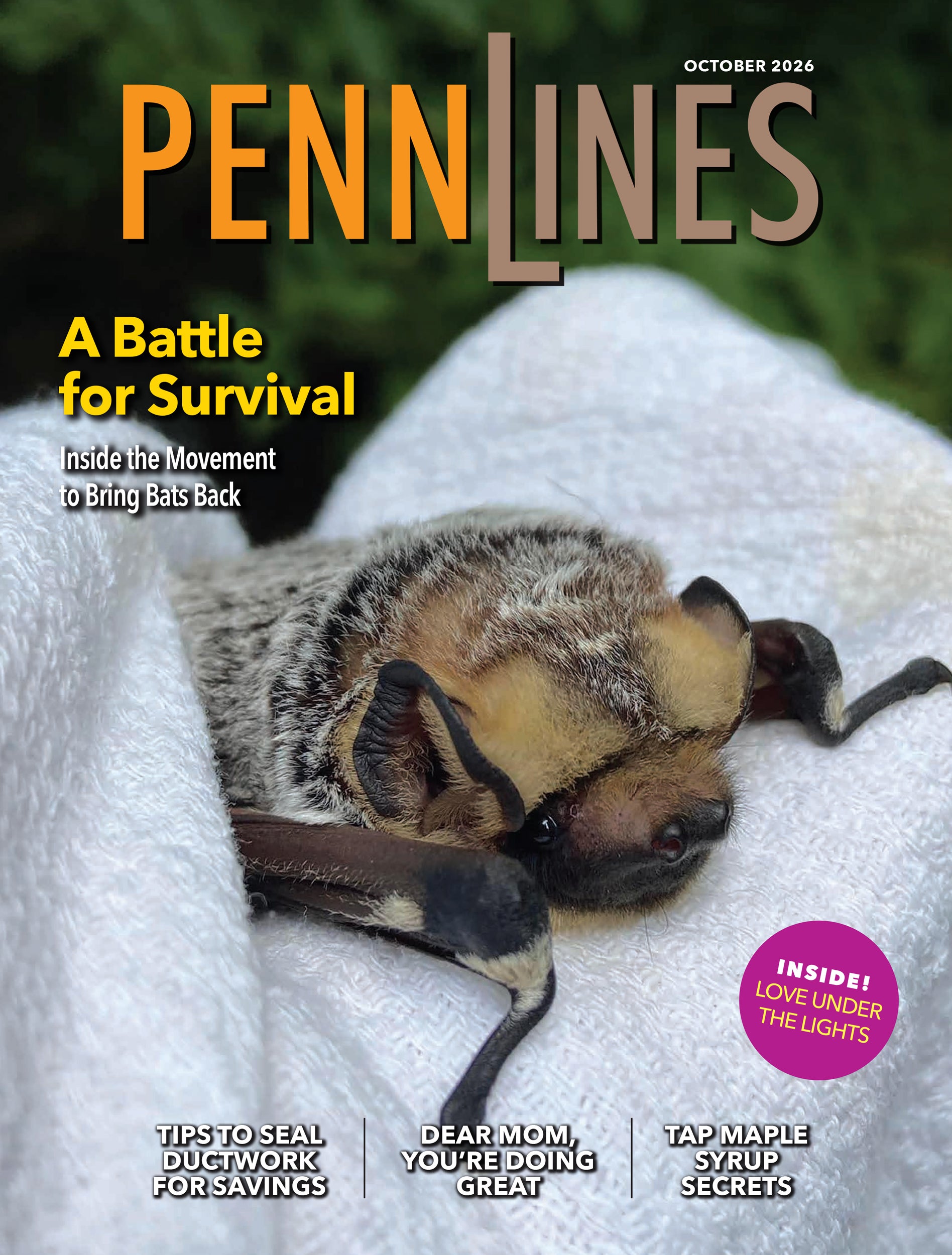 October 2026 Cover