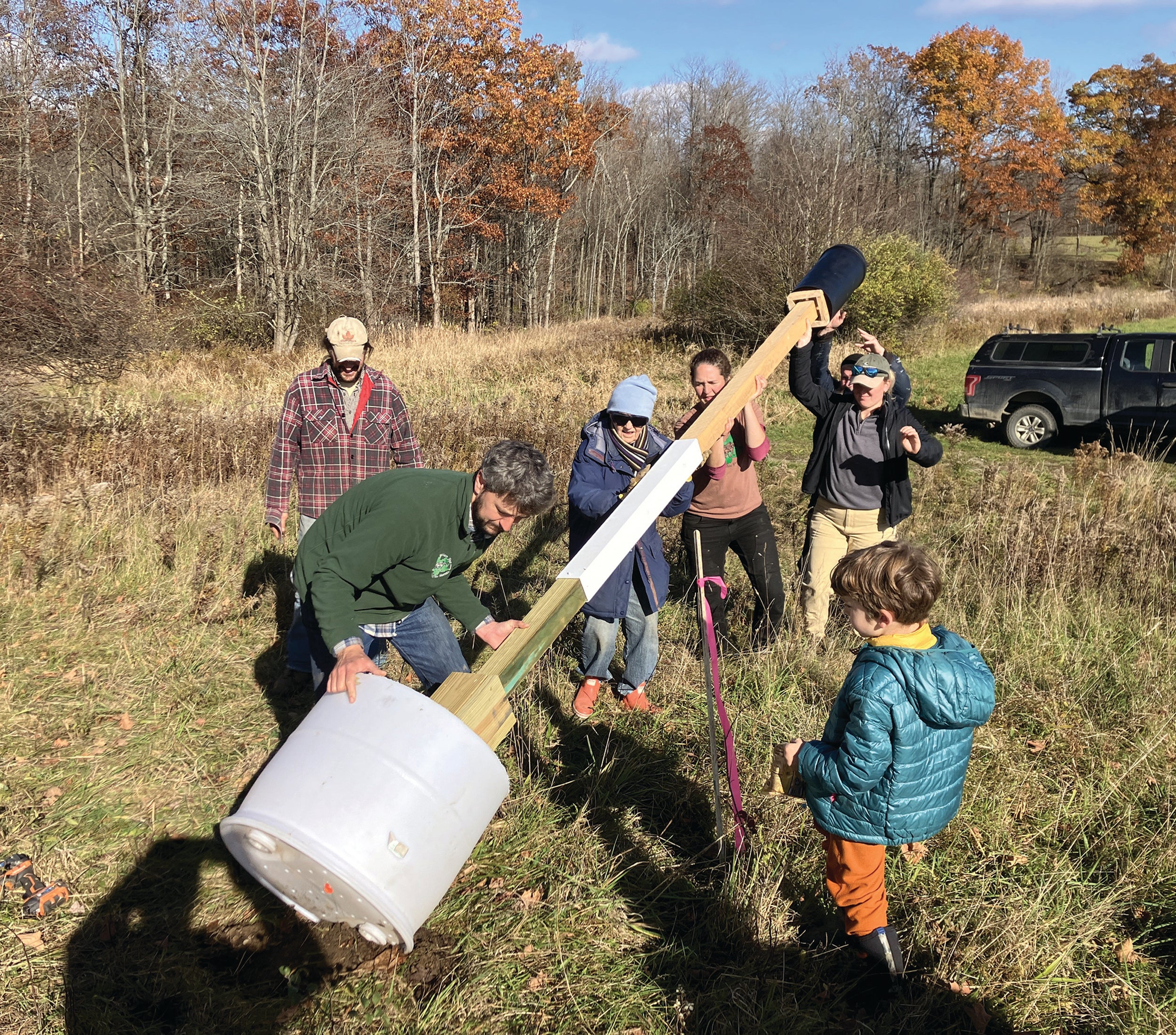 Building and installing bat boxes